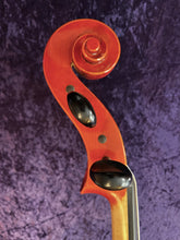 Load image into Gallery viewer, Cello, 4/4 size outfit, Lisle Model 316, used