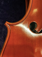 Load image into Gallery viewer, Cello, 4/4 size outfit, Lisle Model 316, used