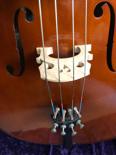 Schonbach 4/4 cello outfit, used